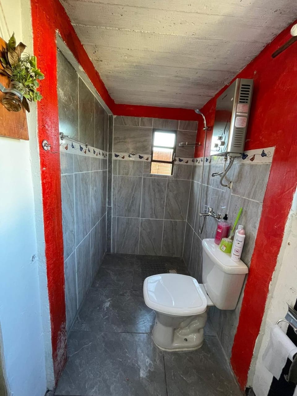 Shower, Toilet, Bathroom, bidet