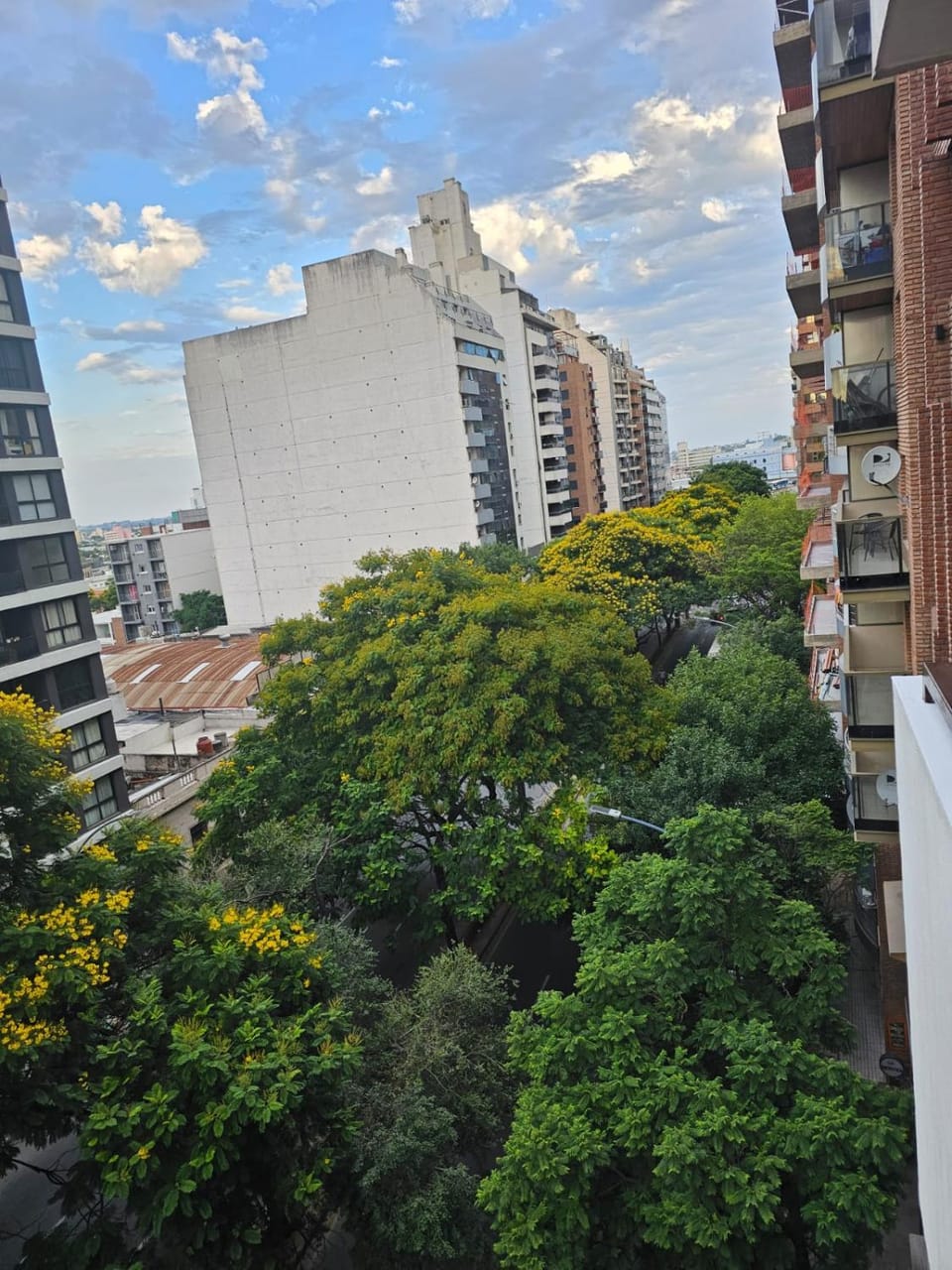 City view