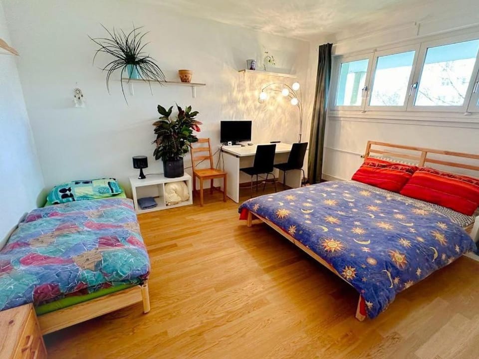 Bright and cozy apartment-central Apartment in Basel