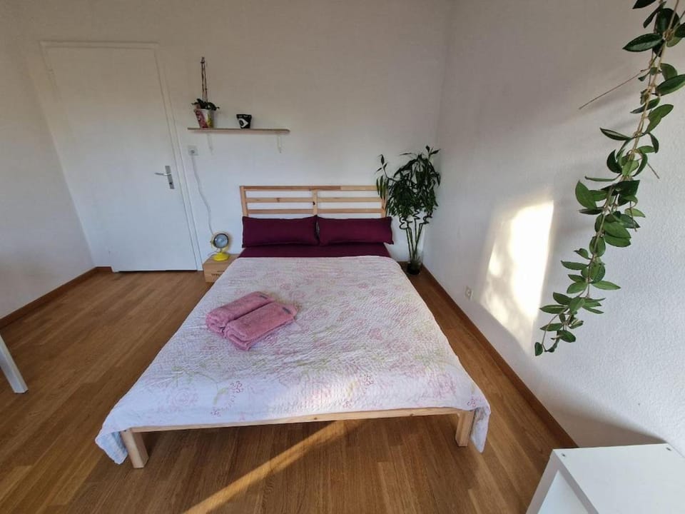 Bright and cozy apartment-central Apartment in Basel