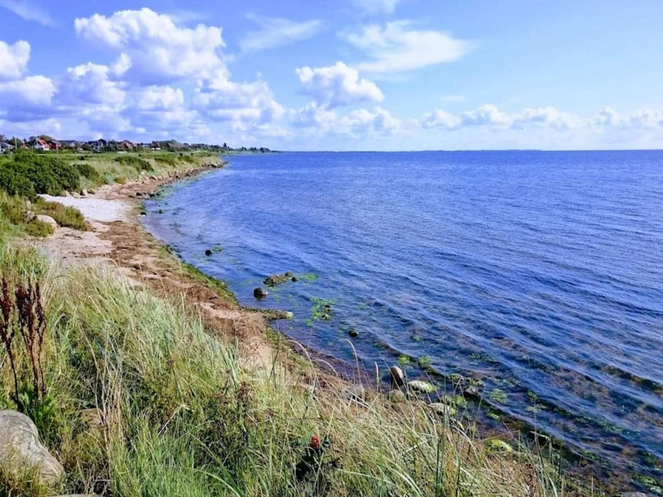 Lake view