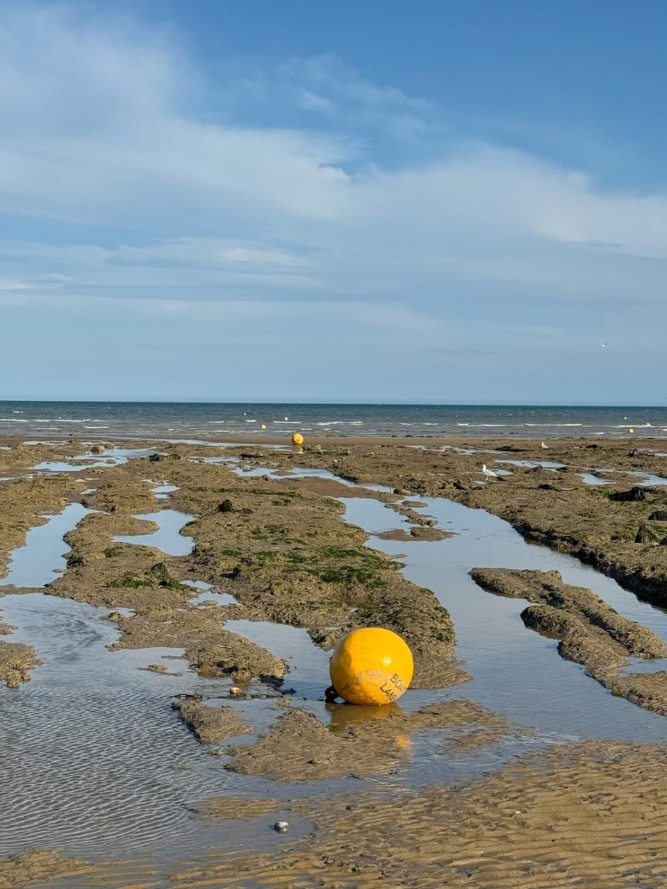 Day, Natural landscape, Beach