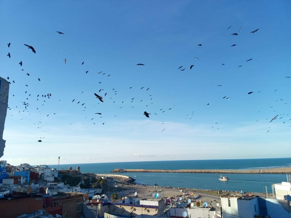 Sea view