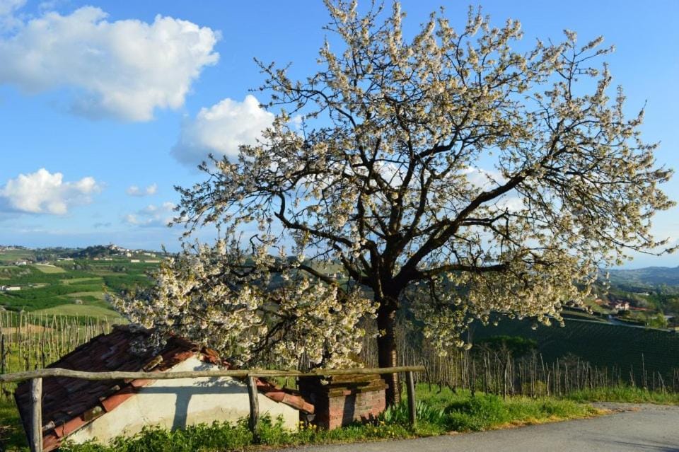 Agriturismo Cascina Rabalot Farm Stay in Liguria