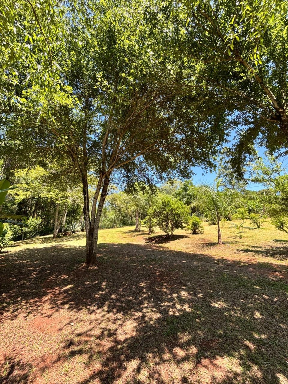 Quinta Vy aha Campground/ 
RV Resort in Misiones Province, Argentina
