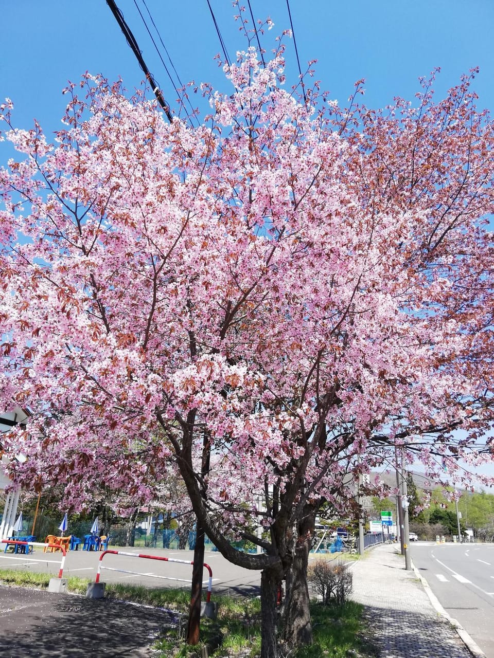 Spring