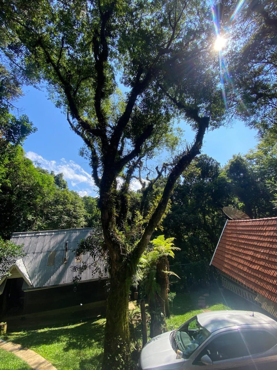 Natural landscape, Garden, Garden view, Parking
