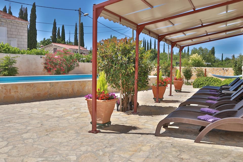 Patio, Garden, Garden view, Swimming pool, sunbed