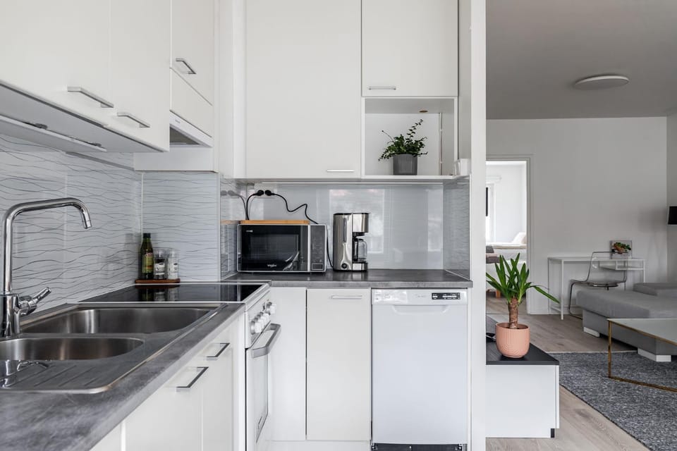 Kitchen or kitchenette, dishwasher, stove