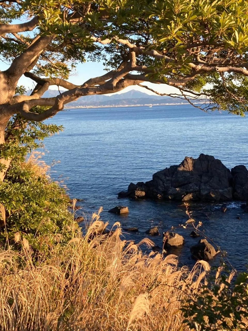 真鶴個室102和室ツイン 駅徒歩6分Atami Hakoneも近いゲストハウス真鶴 Bed and Breakfast in Kanagawa Prefecture