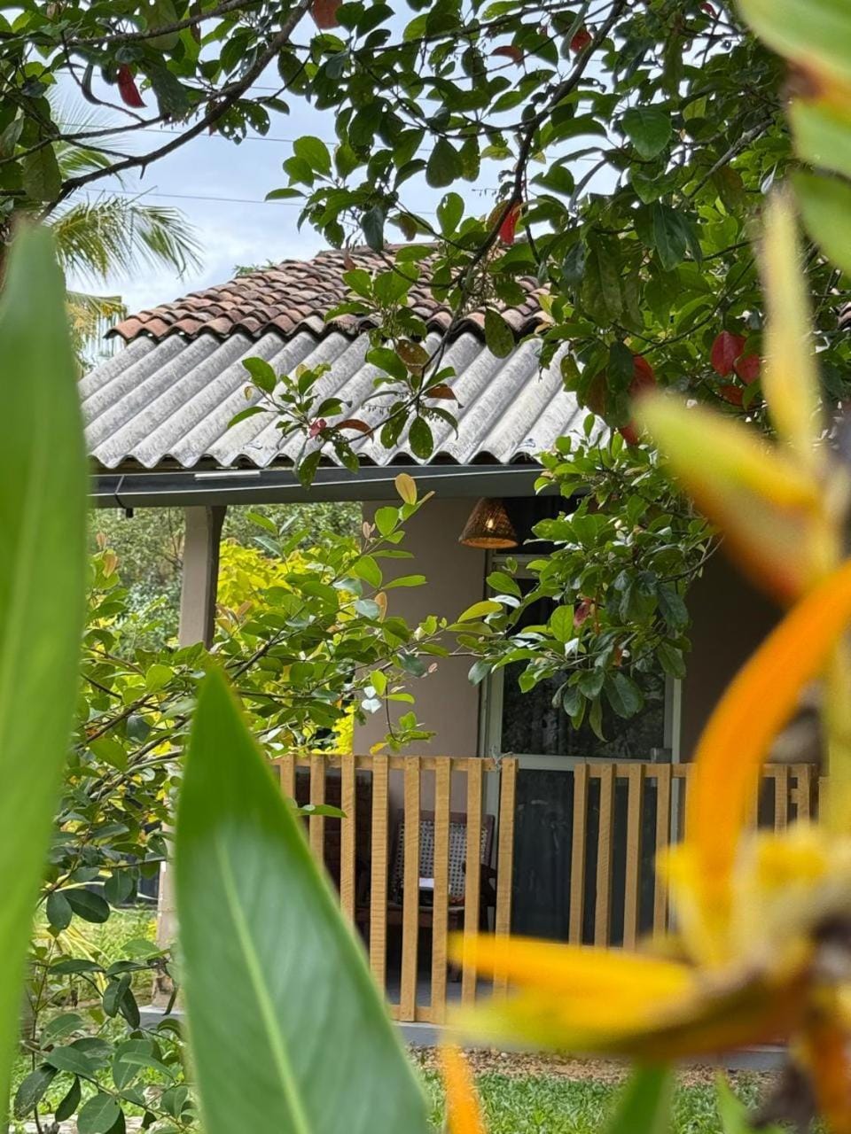 Garden view