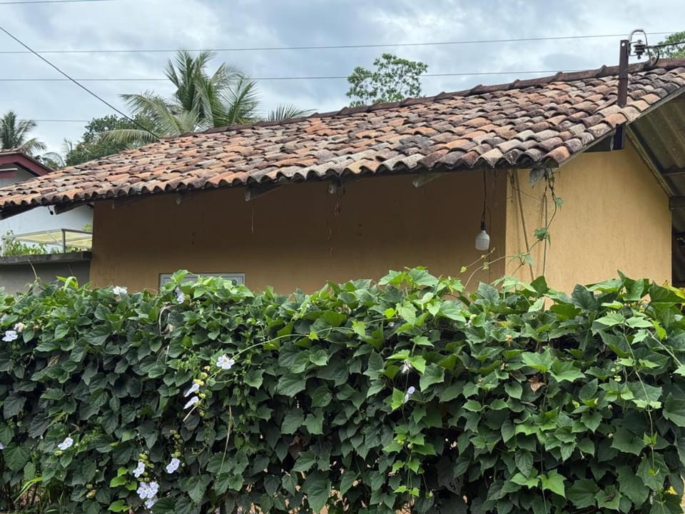 Property building, Garden view