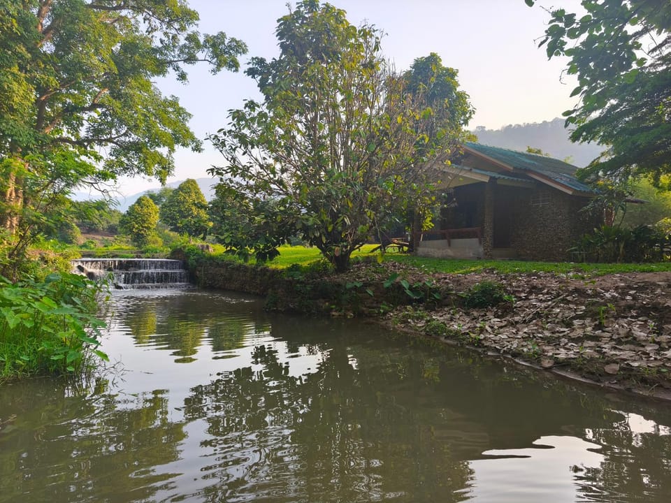 DoiLom Elephant Farmstay Farm Stay in Thailand