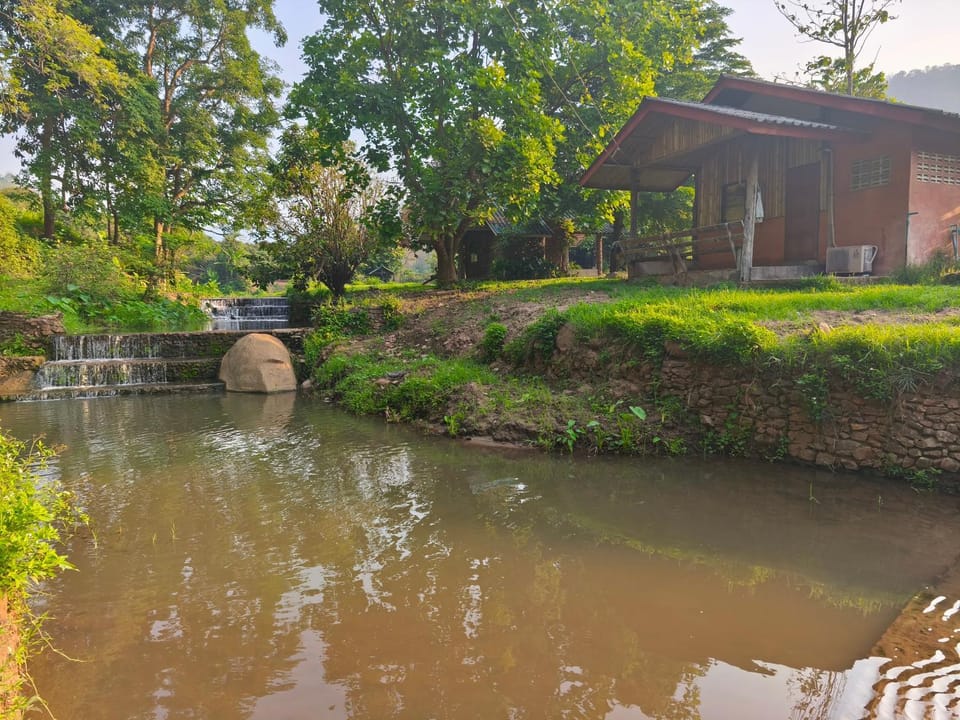 DoiLom Elephant Farmstay Farm Stay in Thailand