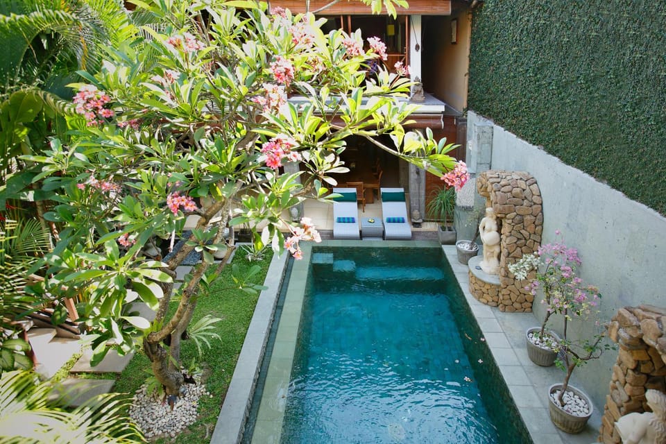 Day, Garden, Garden view, Pool view, Swimming pool
