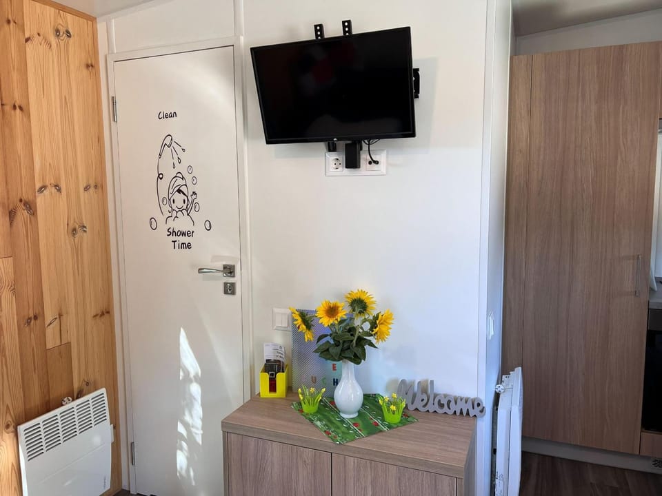 TV and multimedia