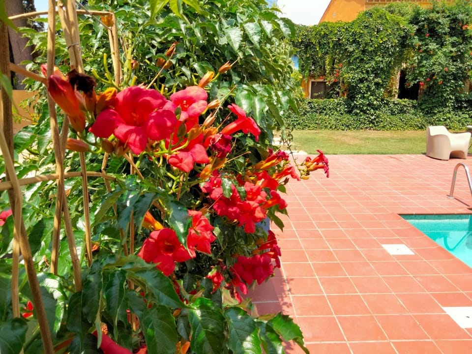 MAS DE BERNIS - Masia House in Montsià