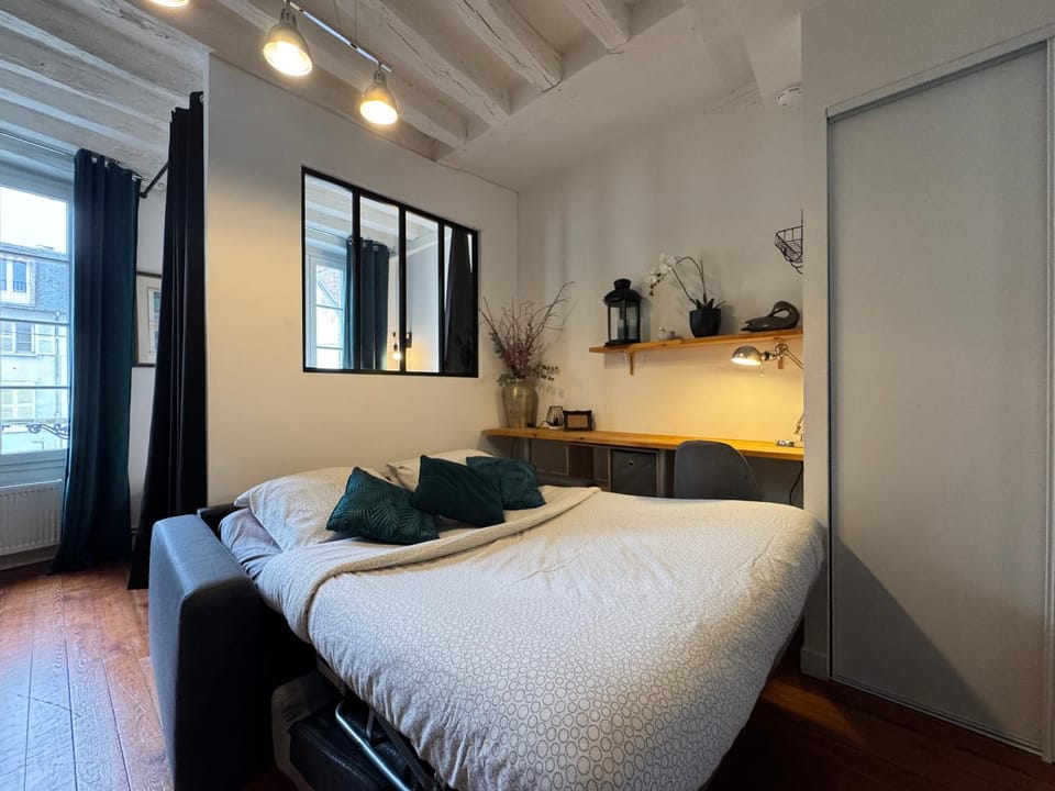 Appartement cosy centre - Fontainebleau Apartment in Fontainebleau
