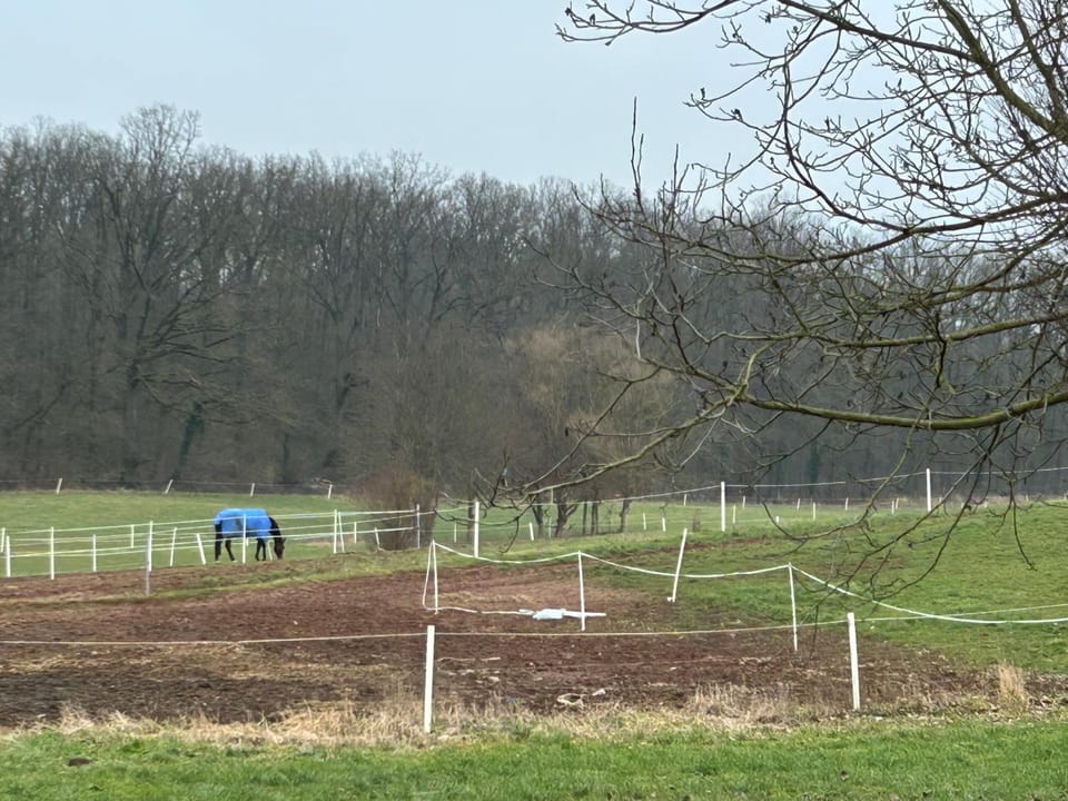 Natural landscape
