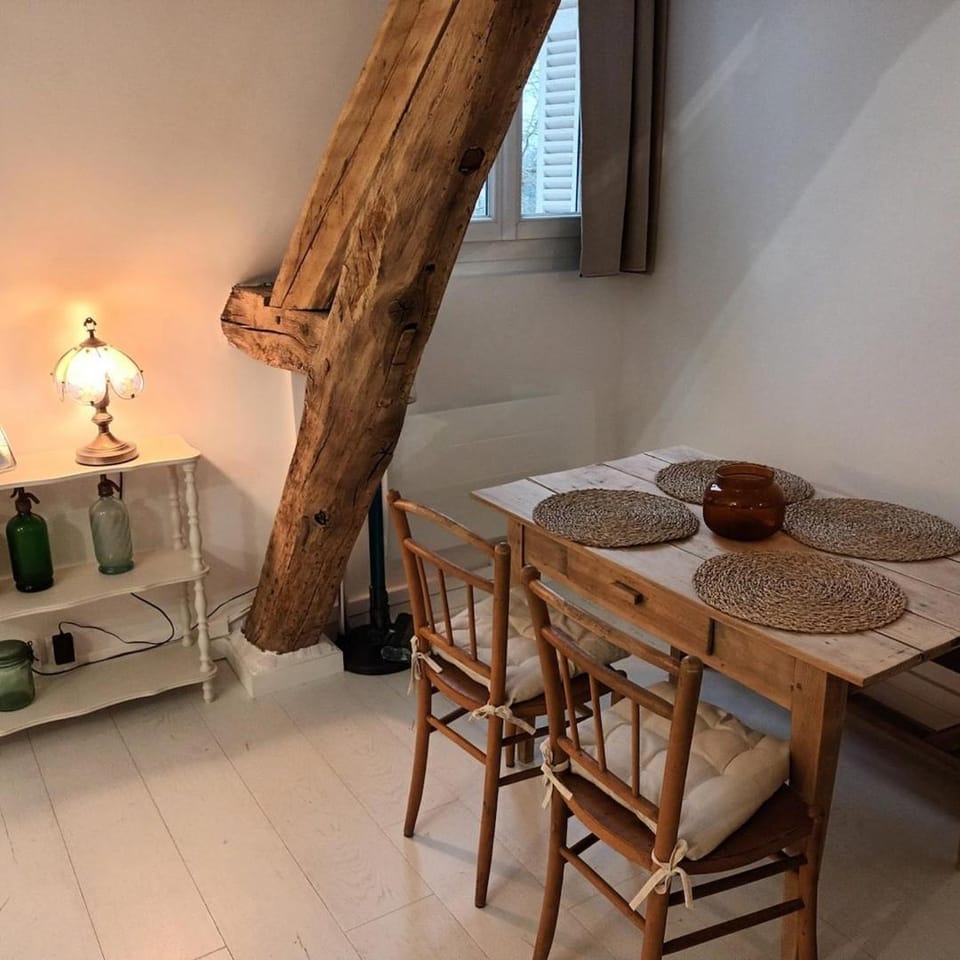 Le Perchoir des Prébendes - wifi - TV Apartment in Tours