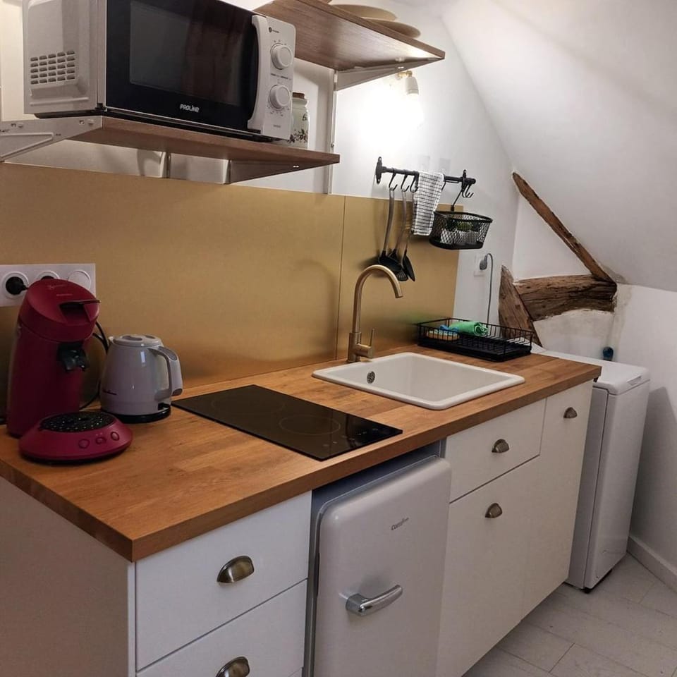 Le Perchoir des Prébendes - wifi - TV Apartment in Tours