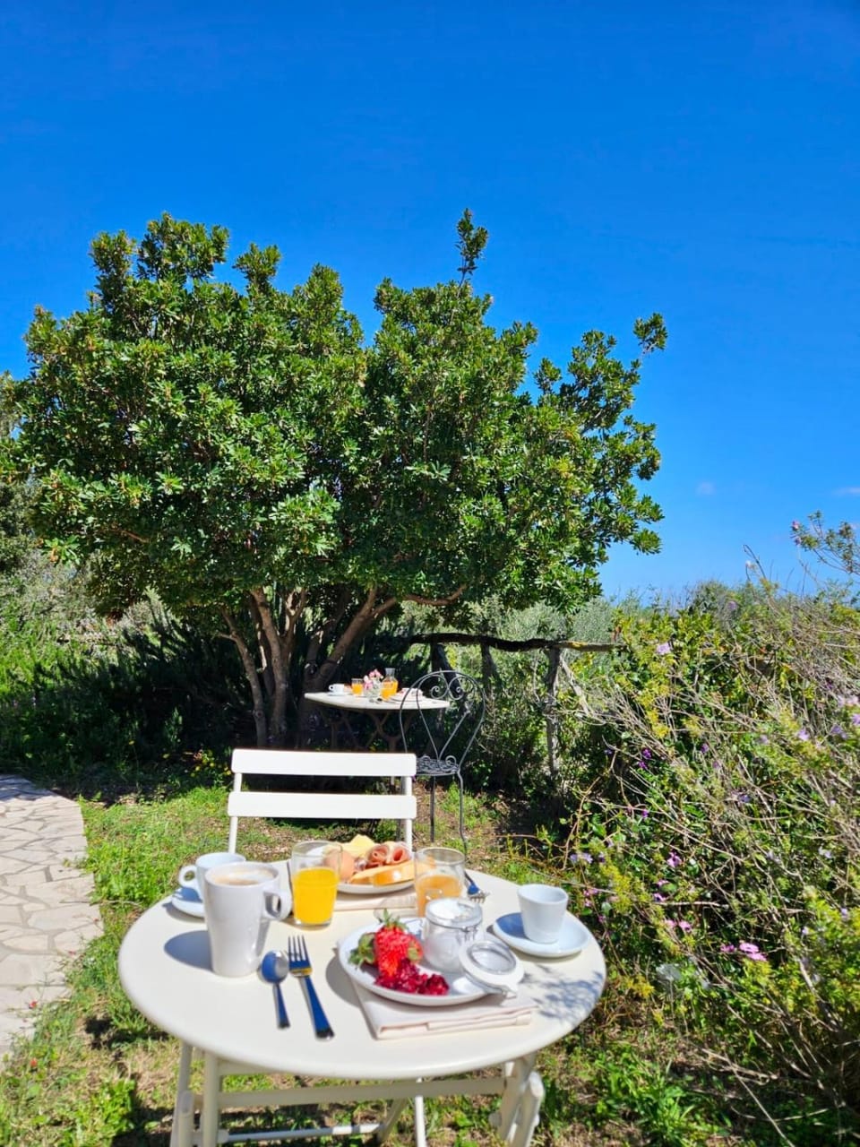 Spring, Day, Natural landscape, Garden, Food and drinks, Food, Garden view, Breakfast, Drinks