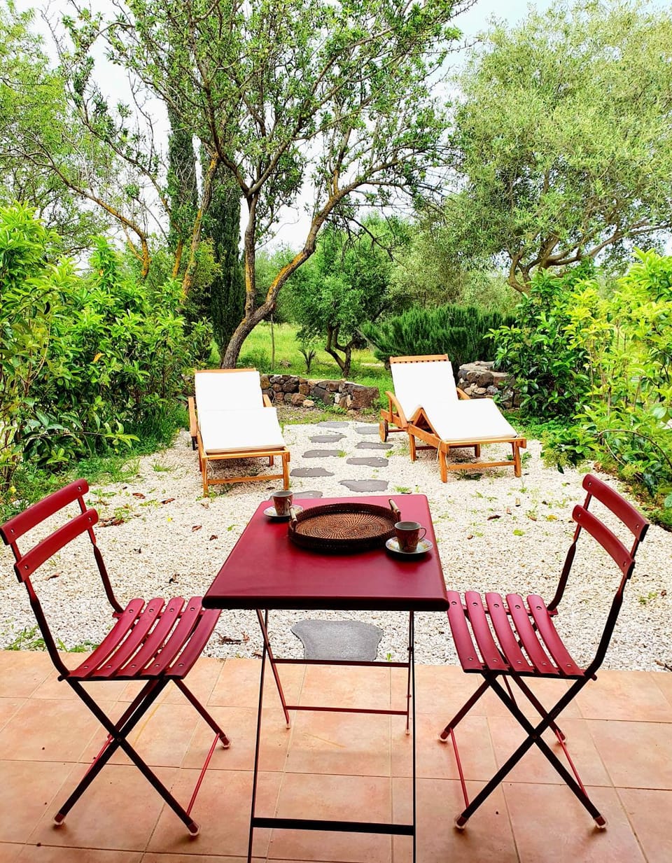 Natural landscape, Garden, Garden view