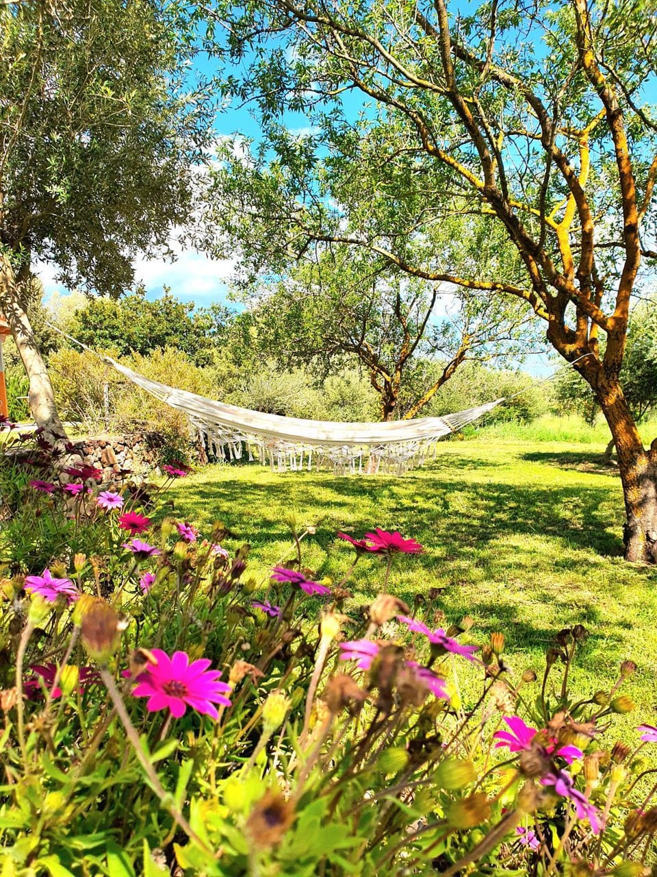 Garden, Garden view