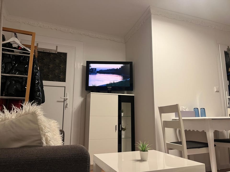 De Leo Apartment in Schaffhausen, Switzerland