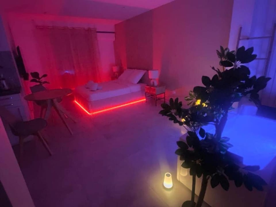 Cocon d'Anjou romantique avec Spa À deux pas des vagues Apartment in Antibes