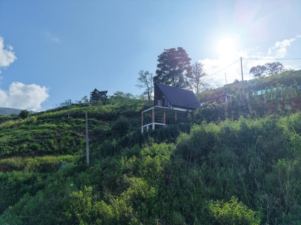 Natural landscape, Garden, Mountain view