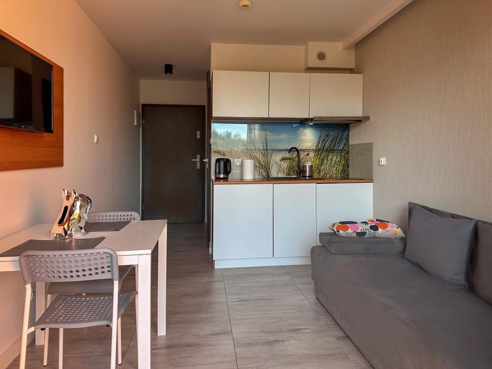 Kitchen or kitchenette, Living room, Seating area, Dining area, oven, stove