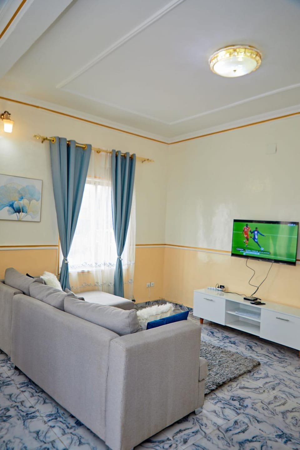 Communal lounge/ TV room, Living room