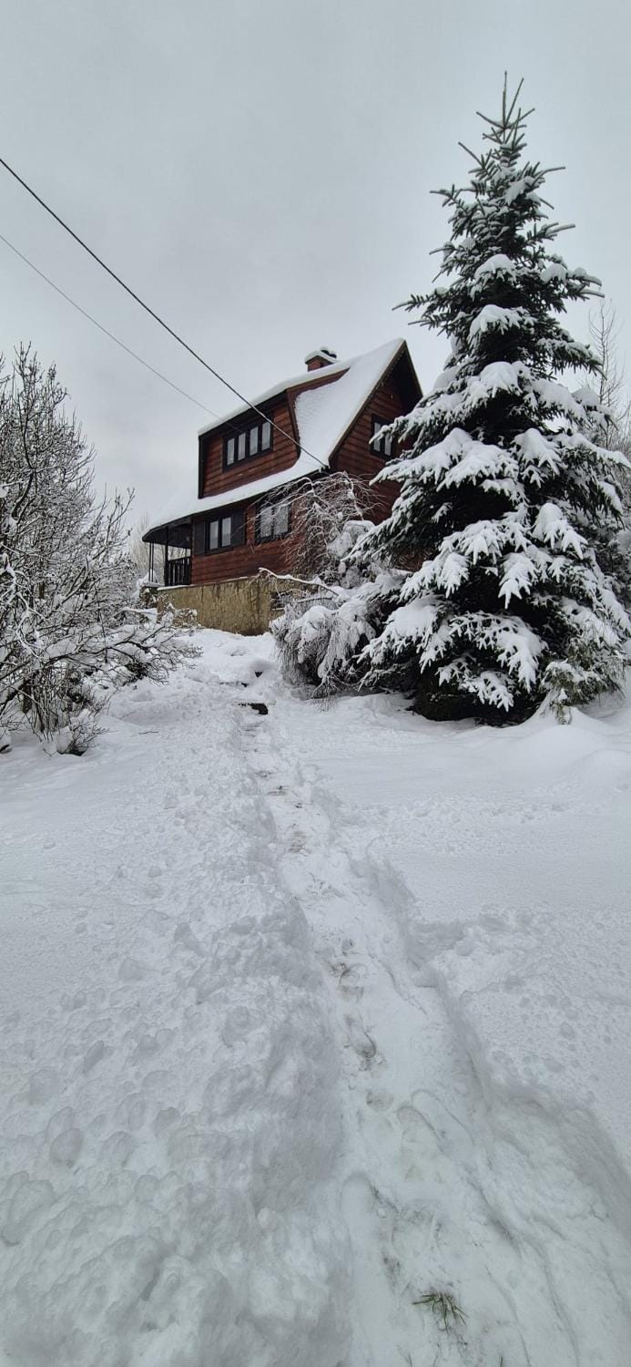 Property building, Natural landscape, Winter