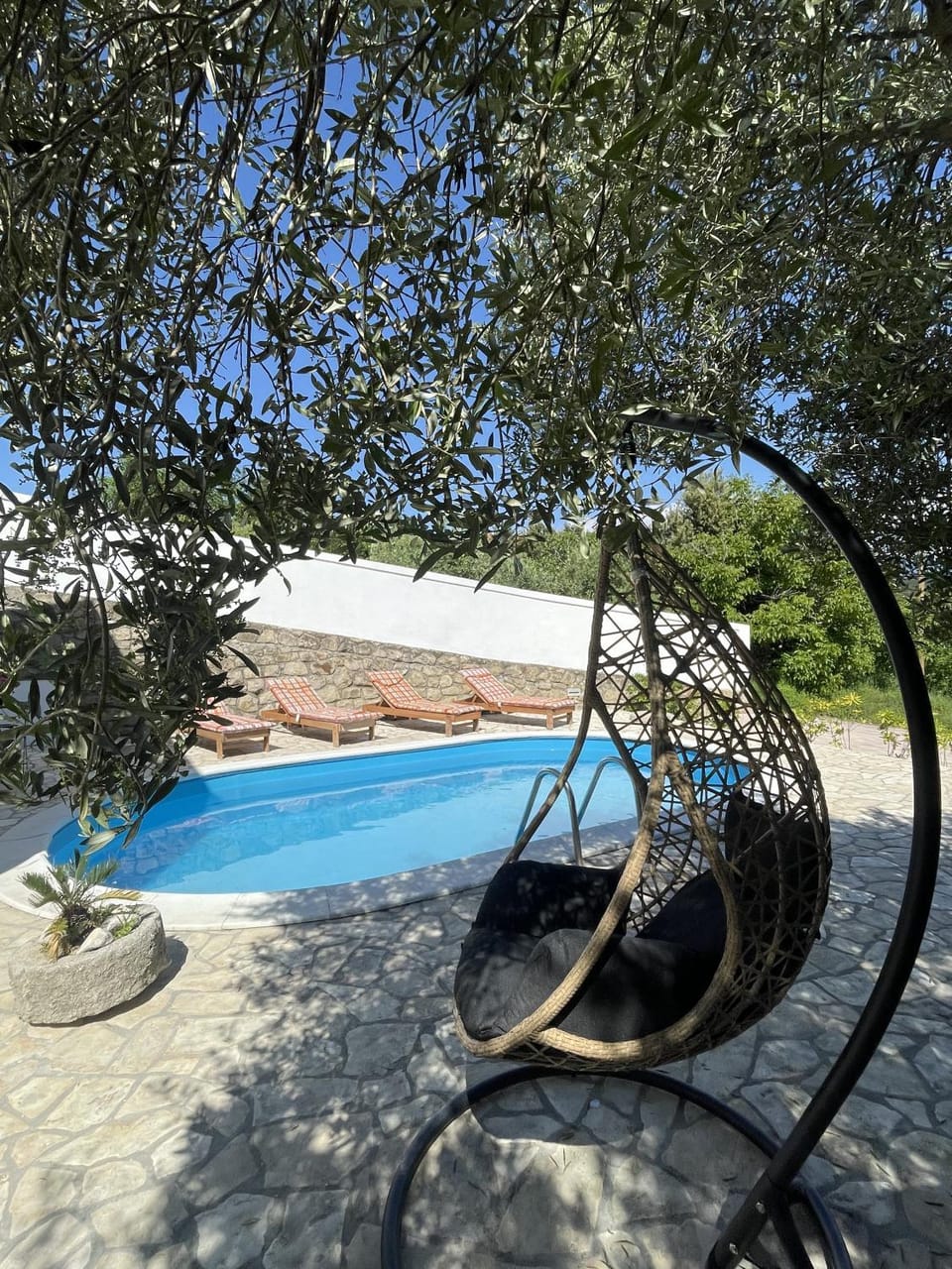 Day, Natural landscape, Pool view, Swimming pool, sunbed