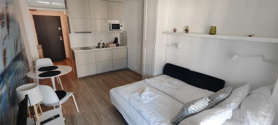 Bed, Kitchen or kitchenette, Living room, Photo of the whole room, Dining area, Bedroom