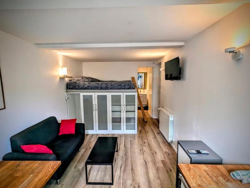Ma Cabane Jardin en Ville Apartment in Rennes
