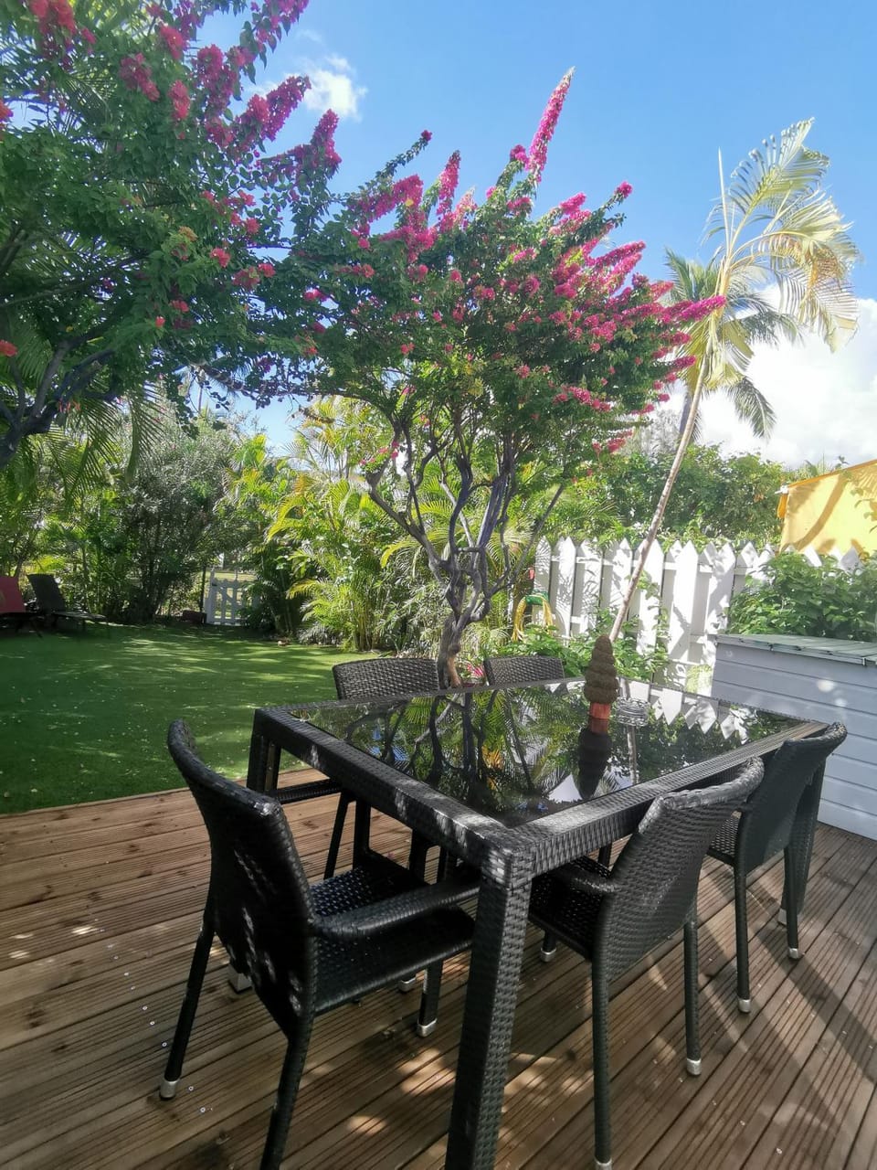 Patio, Dining area
