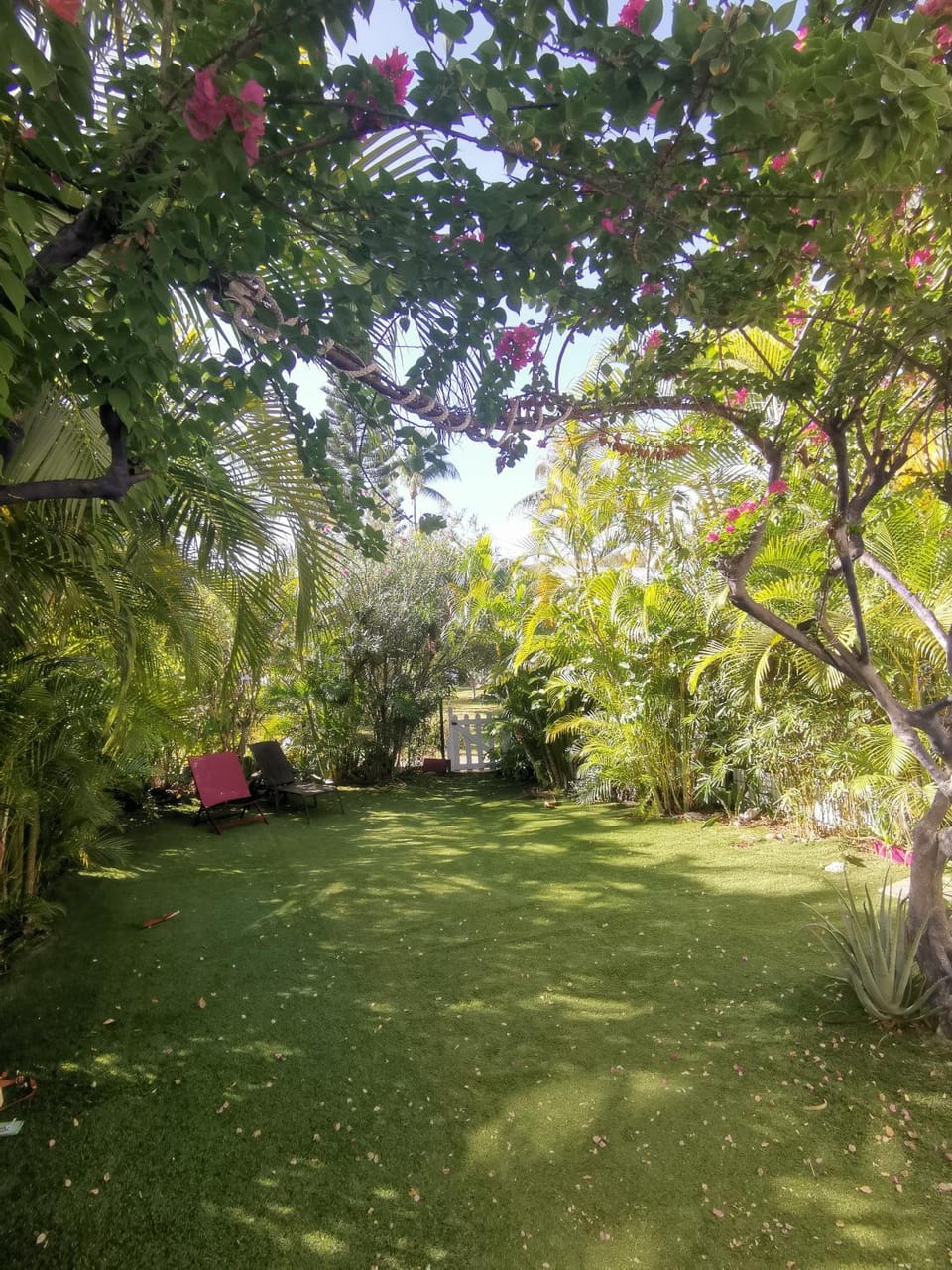 Garden, Garden view
