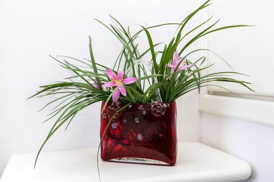 Liza 4 Villa in Isola Albarella