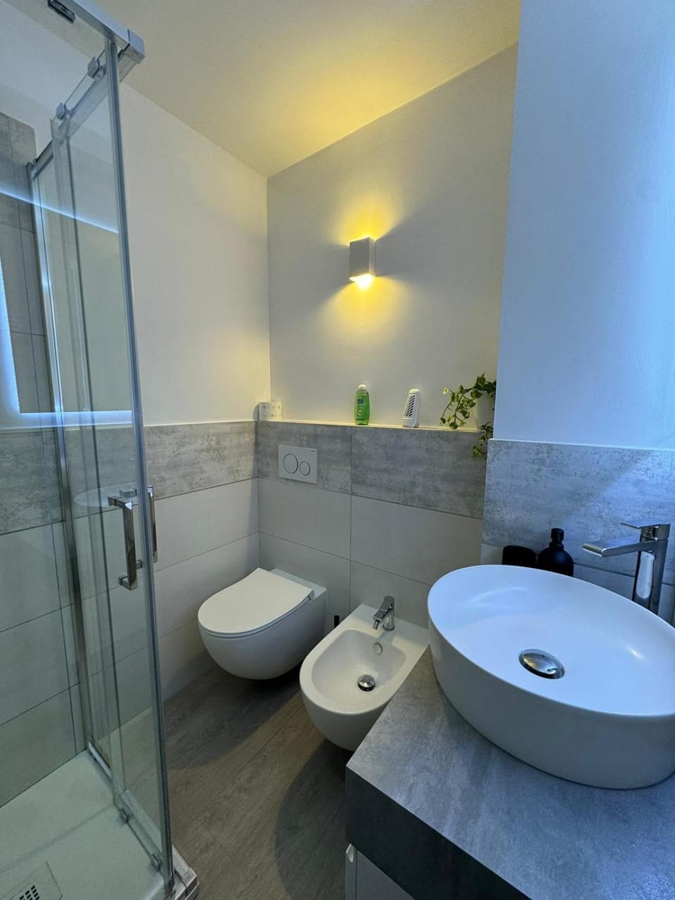 Shower, Toilet, Bathroom, bidet