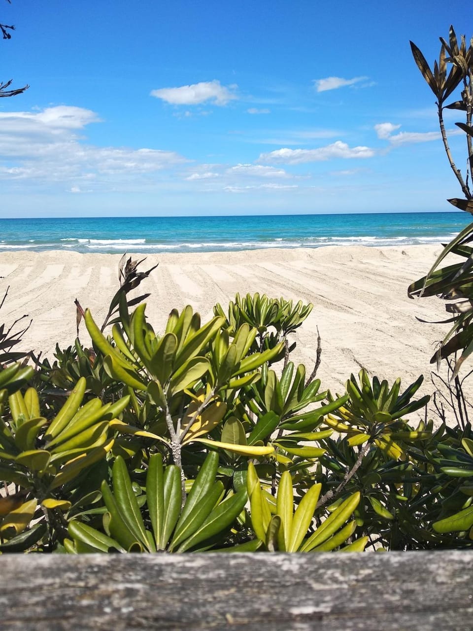 Nearby landmark, Natural landscape, Beach, Sea view