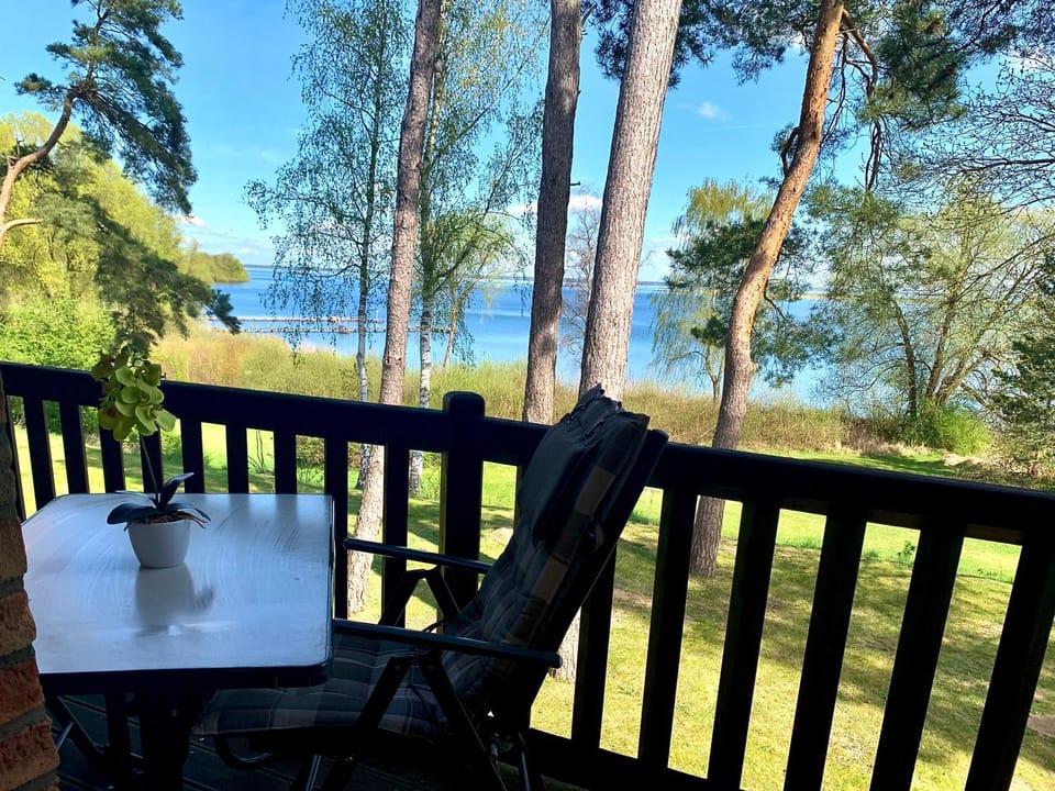 Lake view