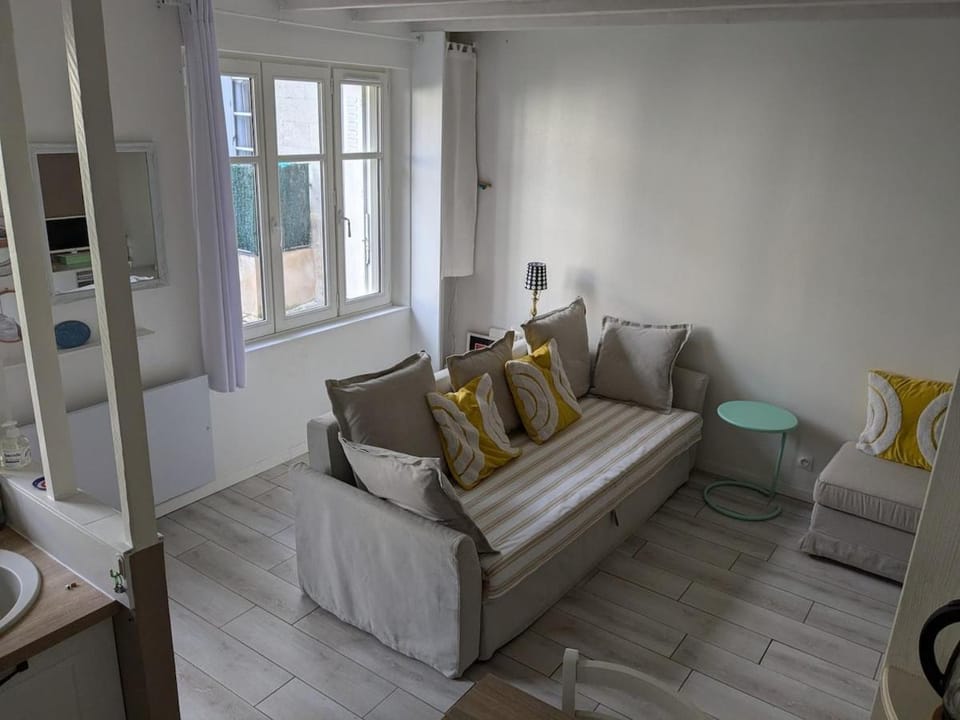 T2 Au pied du château sans vis à vis Apartment in Saumur