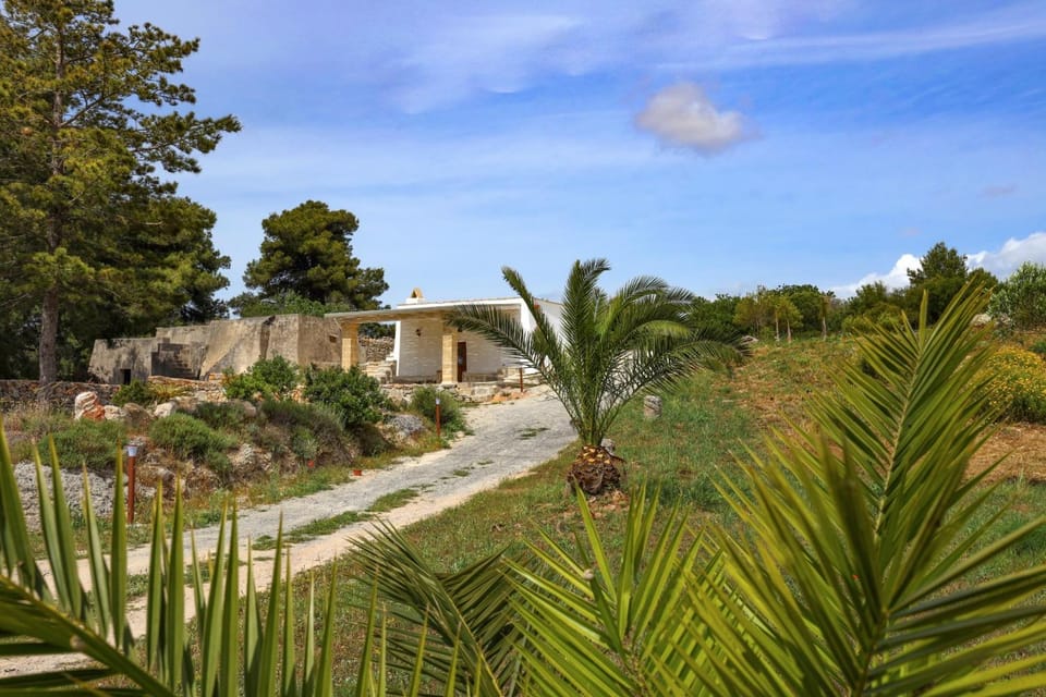 Natural landscape, Garden