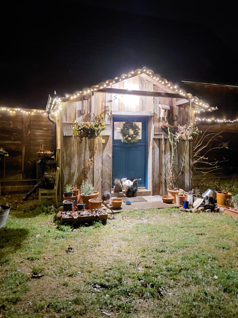Night, Garden, Garden view