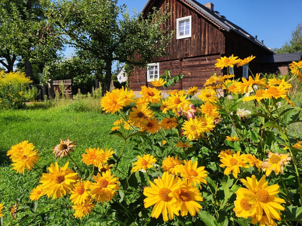 Property building, Garden, Garden view
