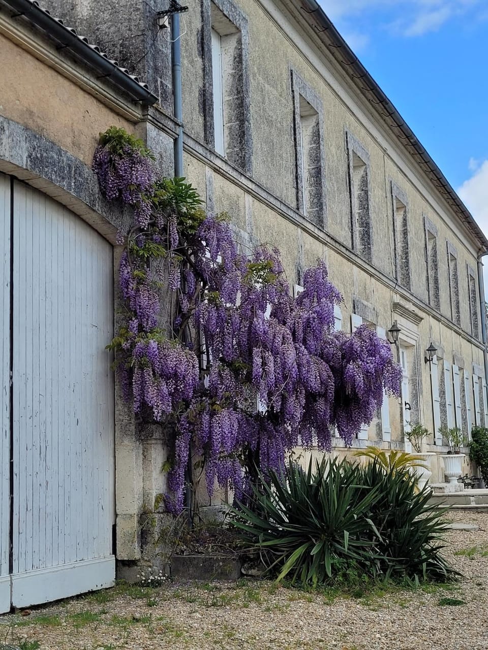 Facade/entrance, Decorative detail, Inner courtyard view