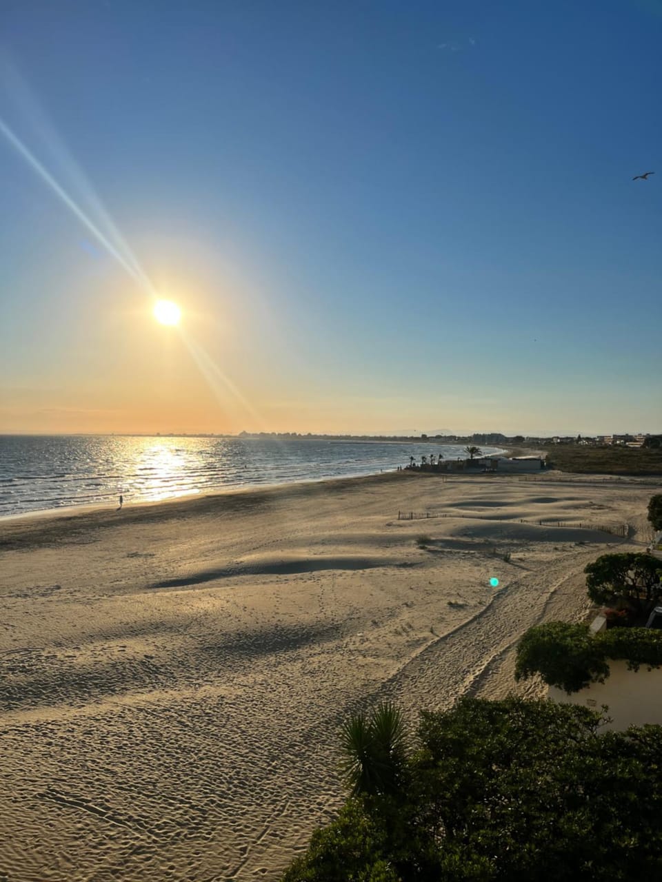 Le Grau du Roi appartement première ligne en face de la mer Apartment in Le Grau-du-Roi
