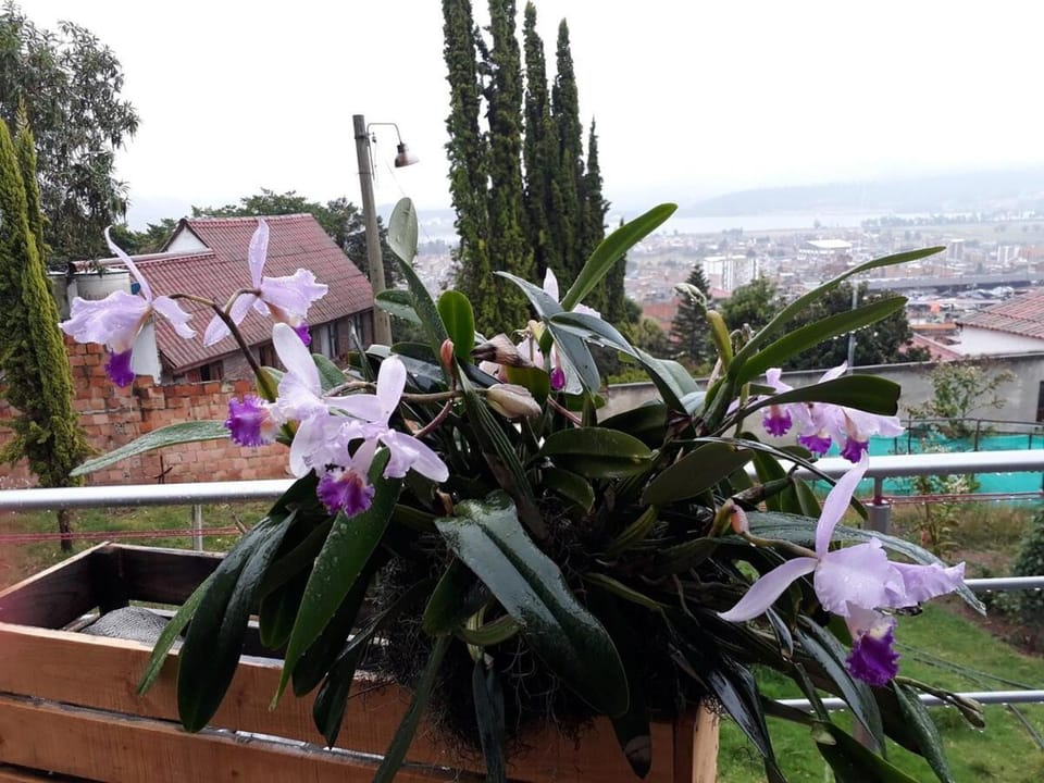 Refugio passifloras Terraza ve Lake Sochagota Paipa Apartment in Paipa